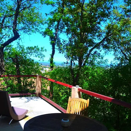 Maison De La Vigne Guest house 3*