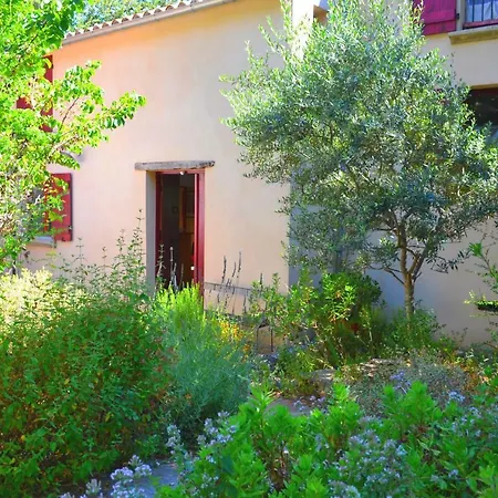 Maison De La Vigne Venzolasca