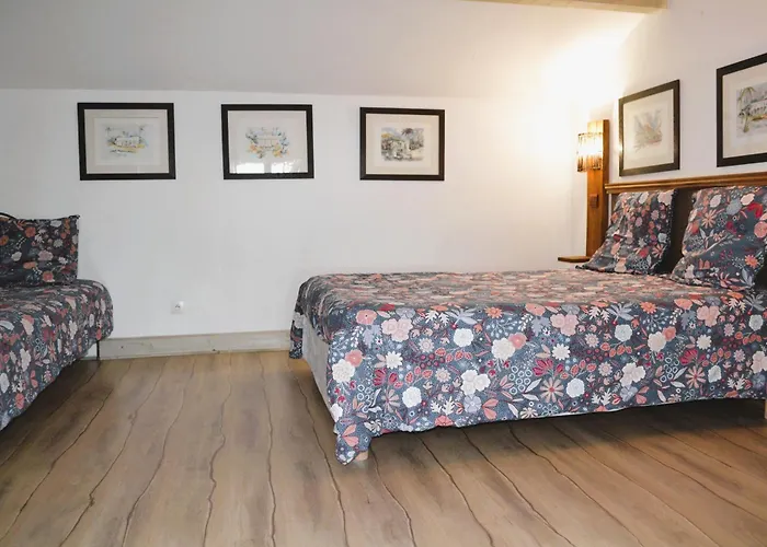 Maison De La Vigne ゲストハウス Venzolasca