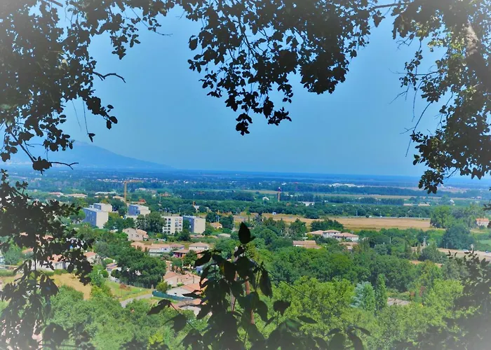 Maison De La Vigne ゲストハウス Venzolasca