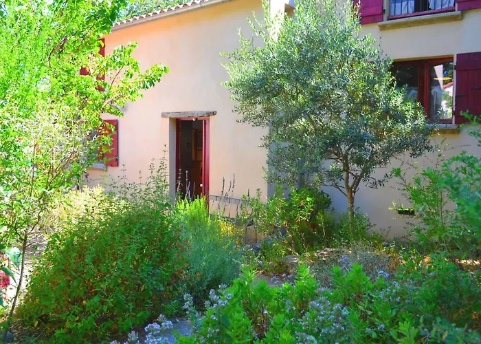 Maison De La Vigne Venzolasca